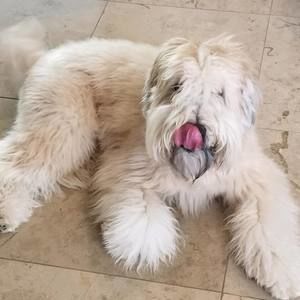 Meet your Posher, Bethany